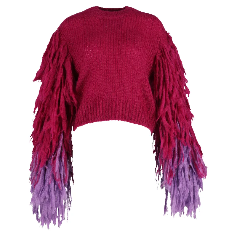 Dries Van Noten Fringed Sweater in Pink Wool